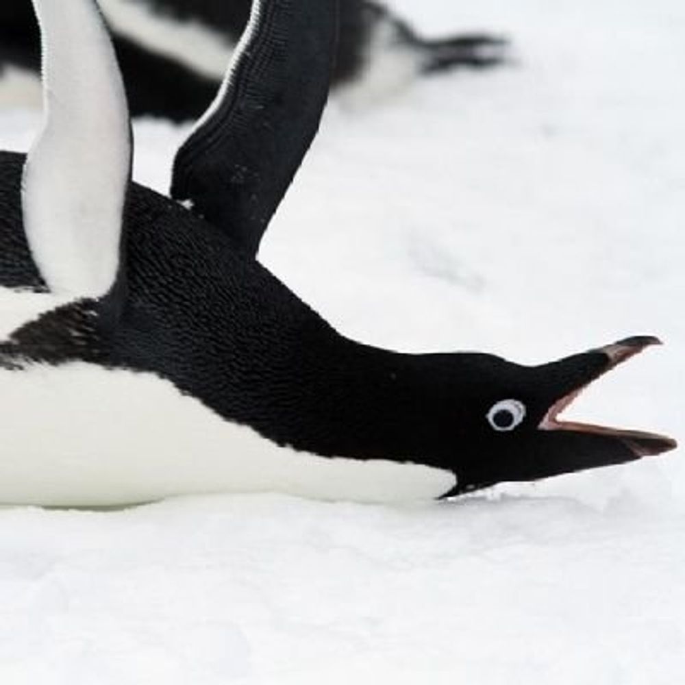 ⋆⁺₊⋆⁂ 적오 ⁂⋆⁺₊⋆