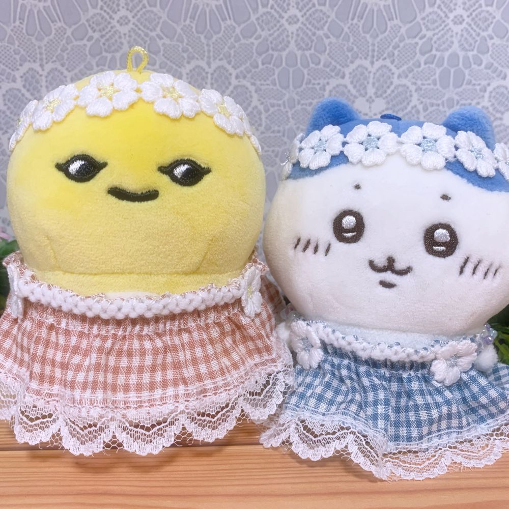 わた実