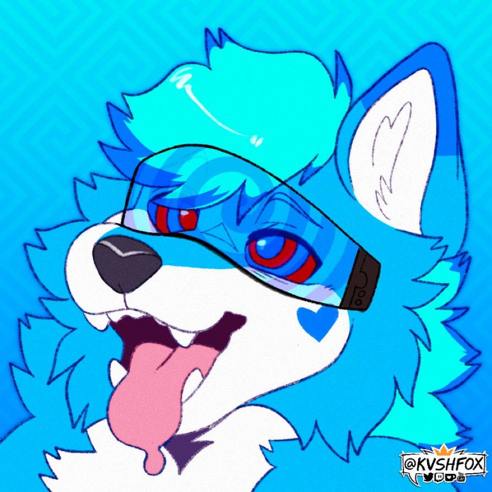 Rox Pupster 🩵💙
