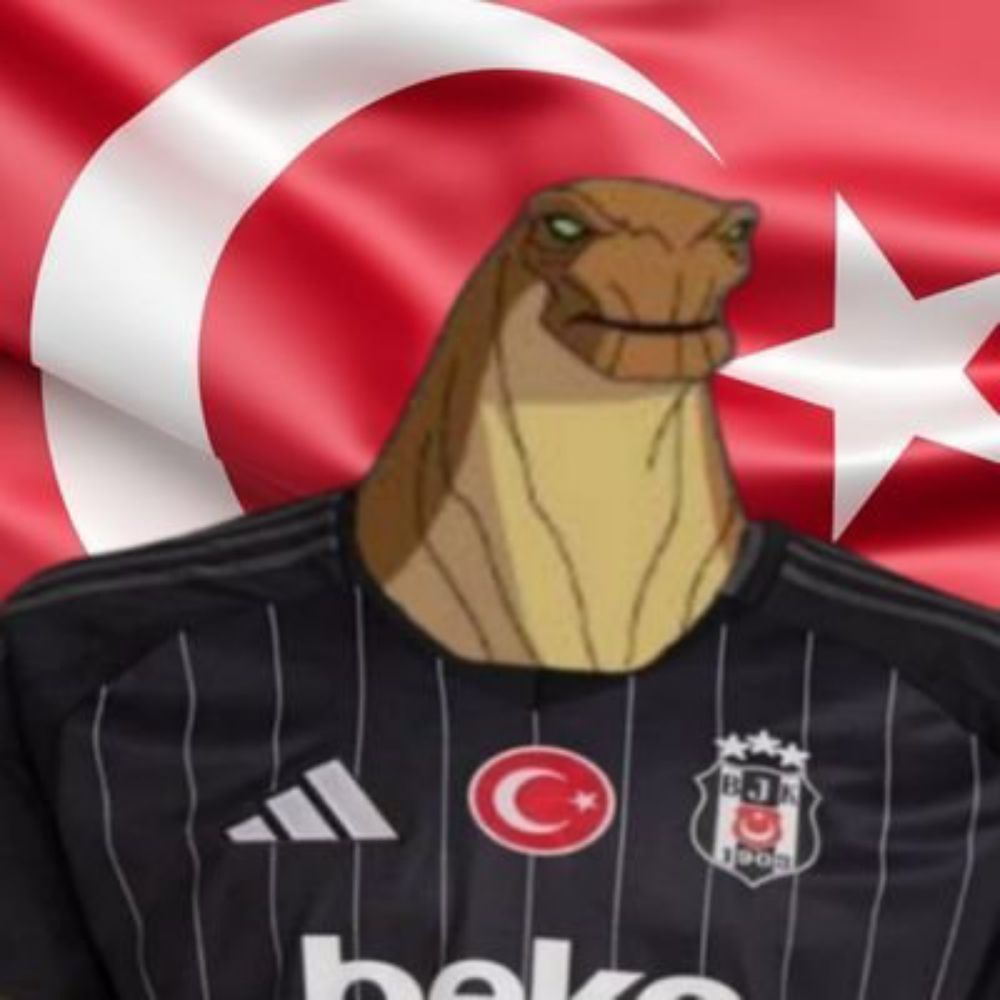 Beşiktaşlı İnsanazor
