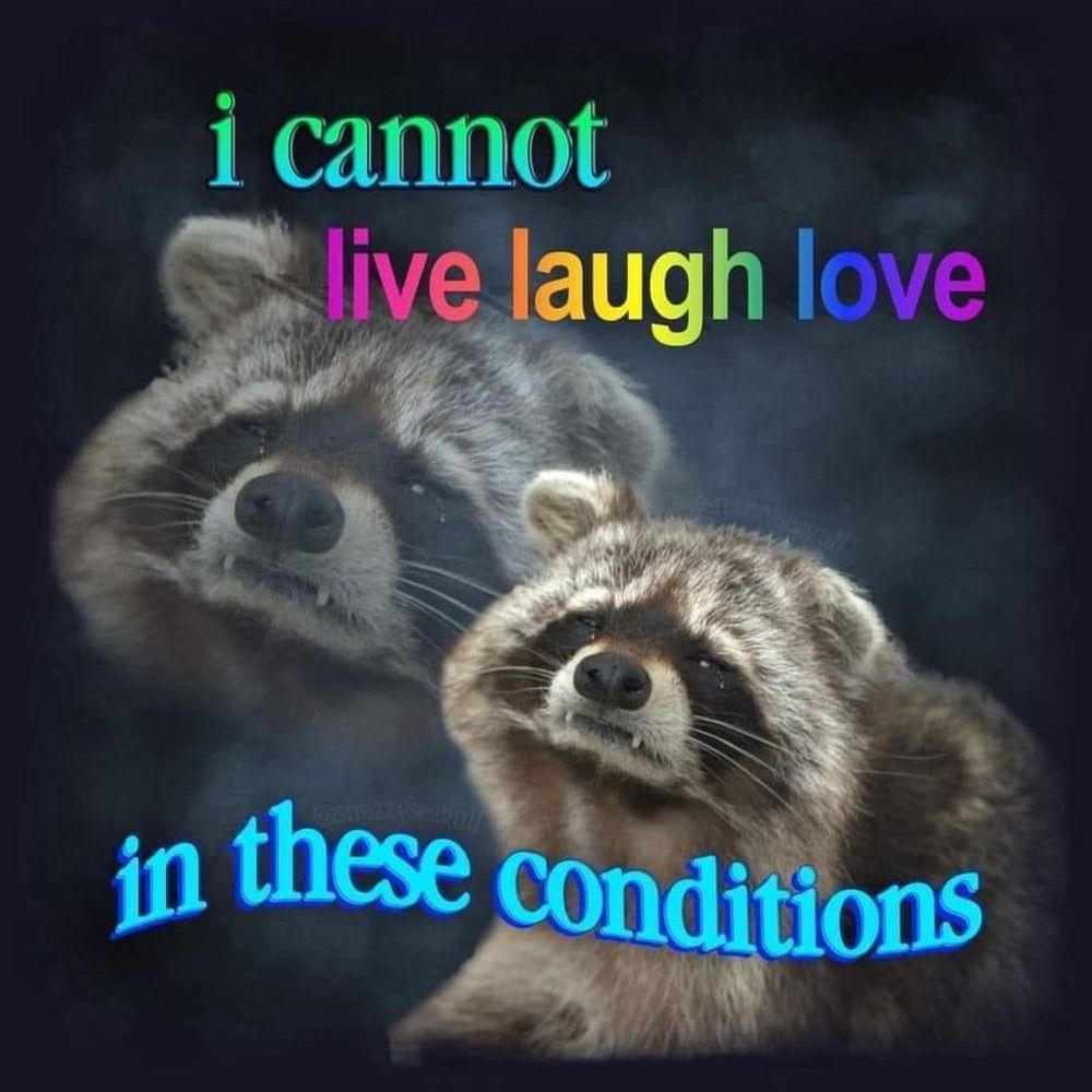 Chaihilist