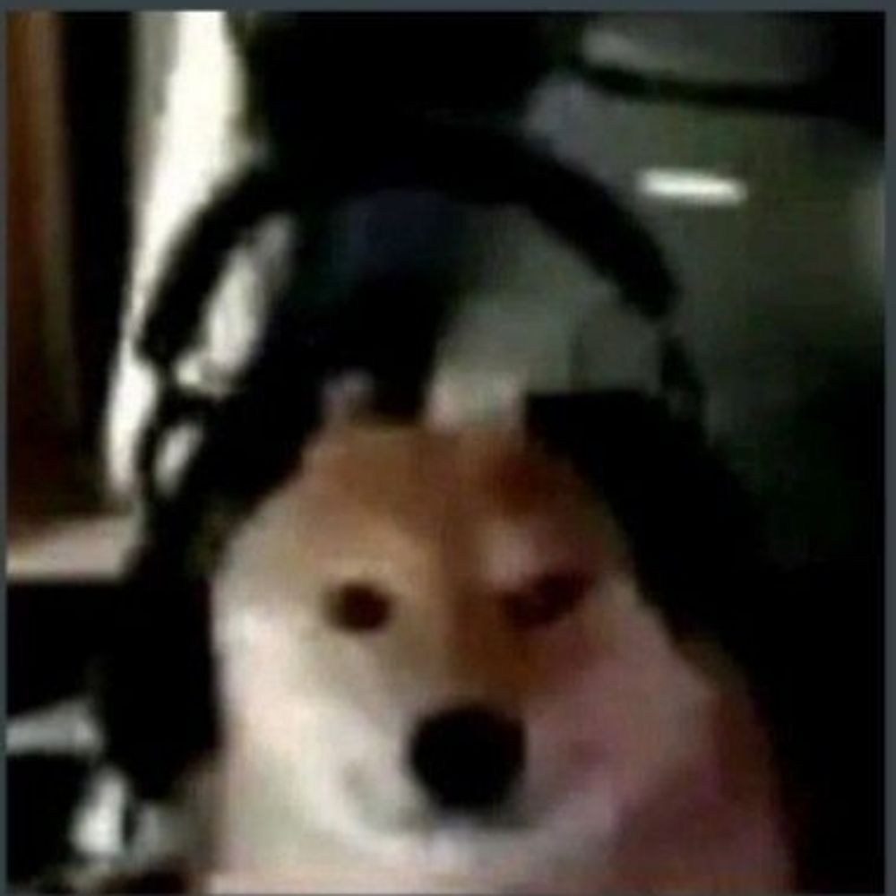 J I N J I N