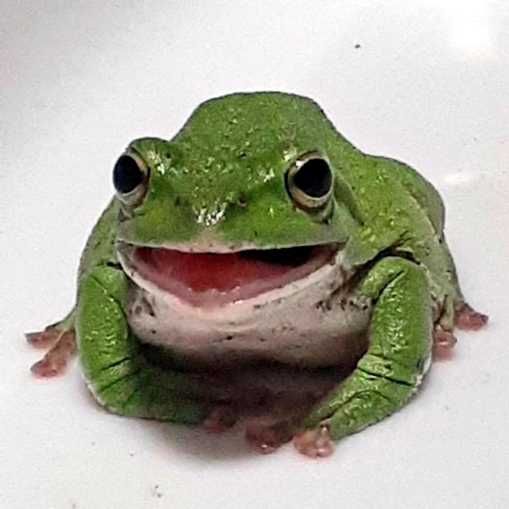 千癒のかくれが