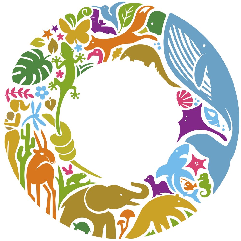 Conservation Optimism