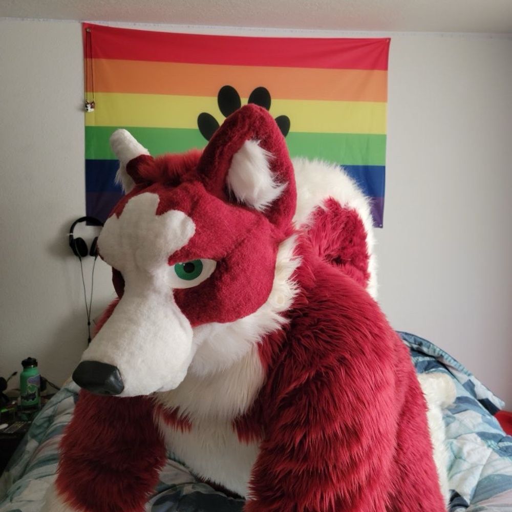 Buck Husky