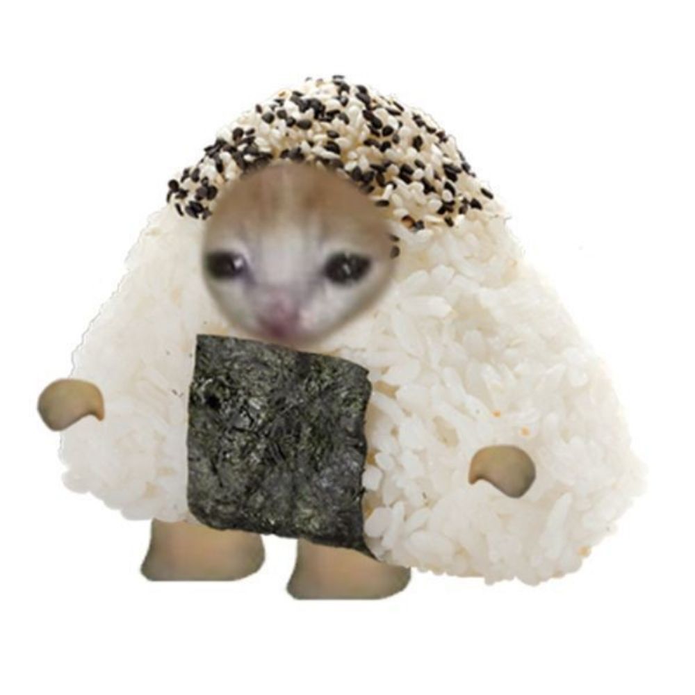 {\ fluffy /}
