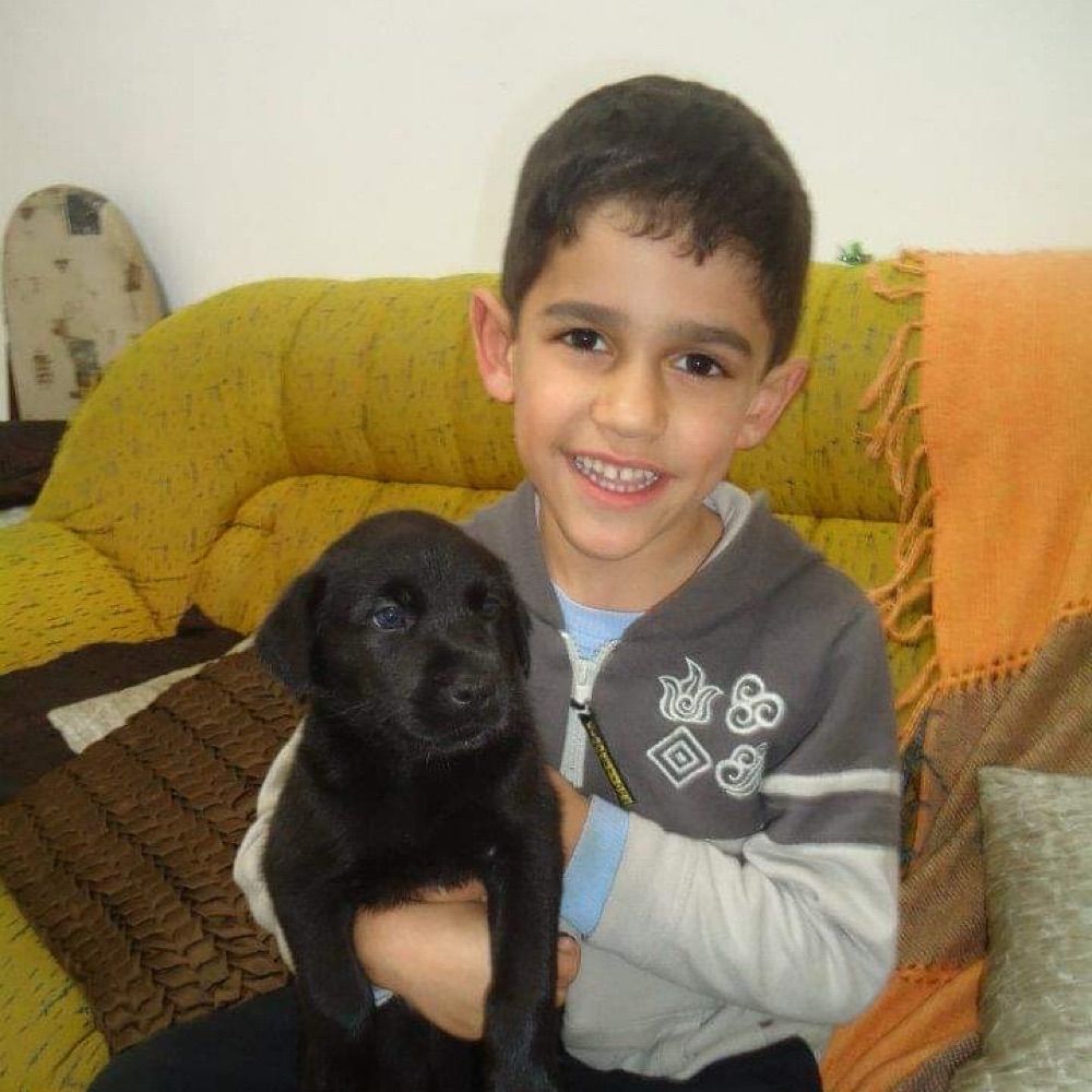 guilherme.verme
