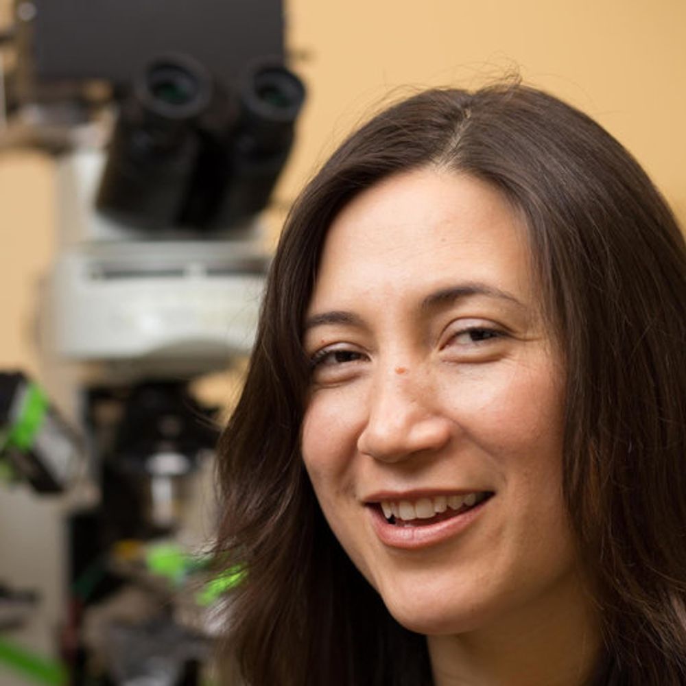 Yasmin Escobedo Lozoya, PhD