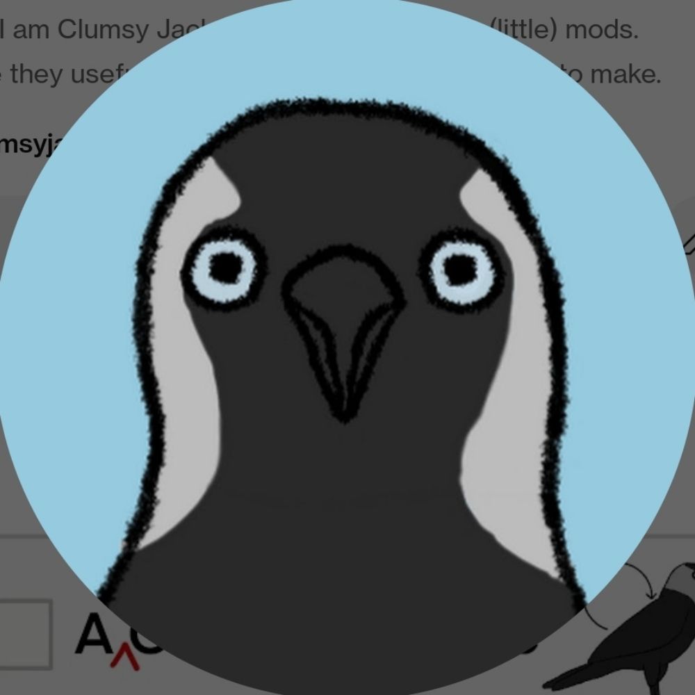 Clumsy Jackdaw