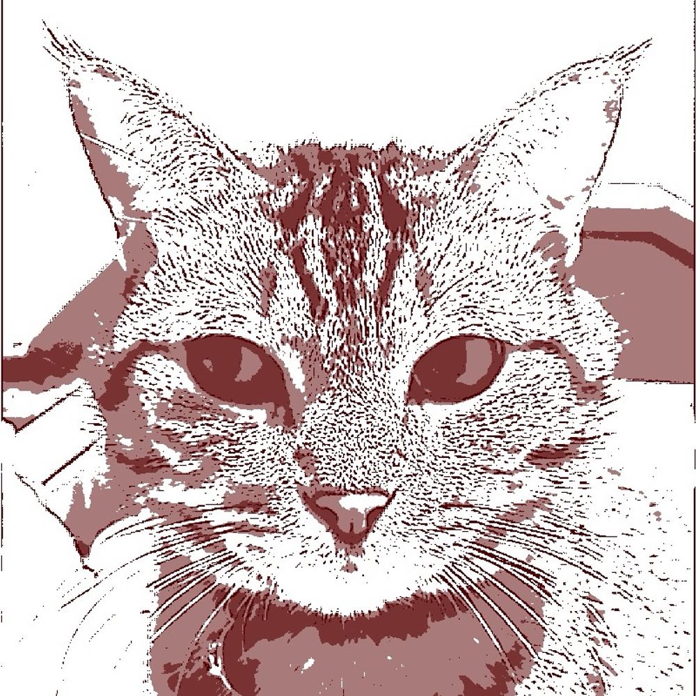 やまだっち