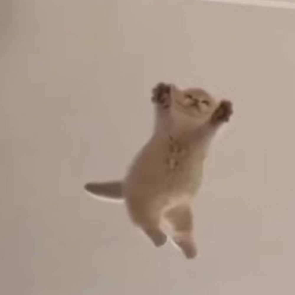 구