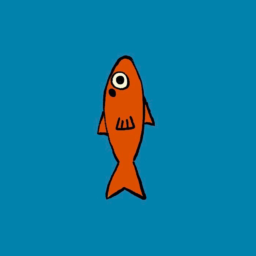 Slice of fish’s