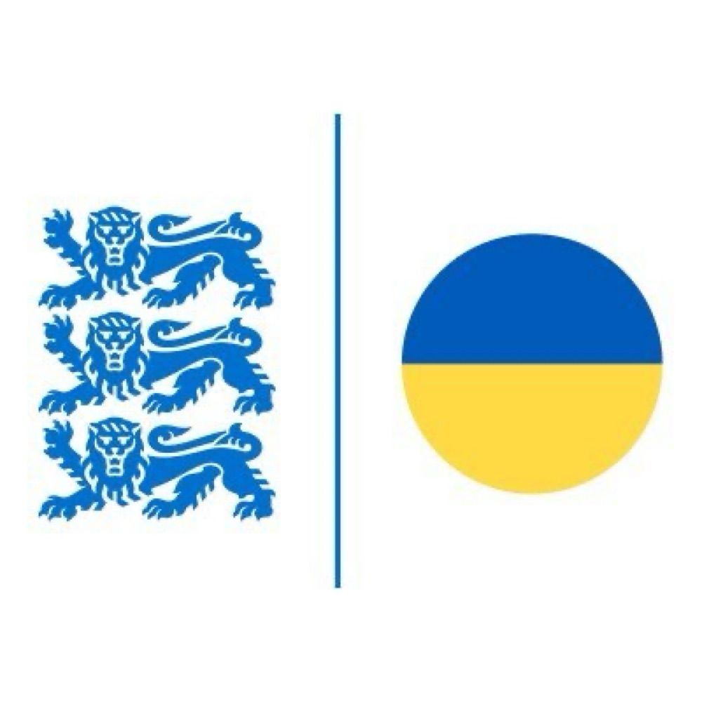 Estonian Defence