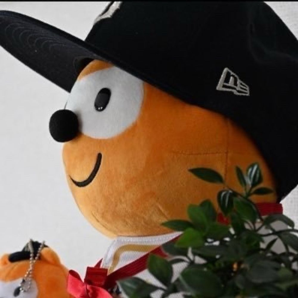 ゆる坊