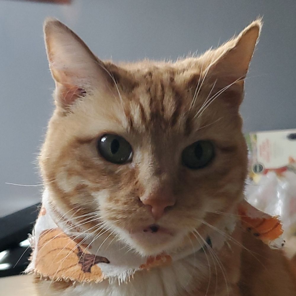 PuffedSpaghetti