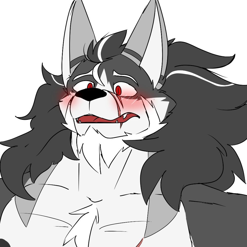 kyle_wolfZ