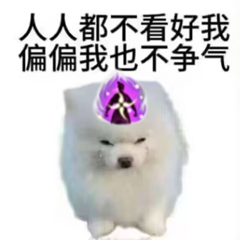 蓝毛楠