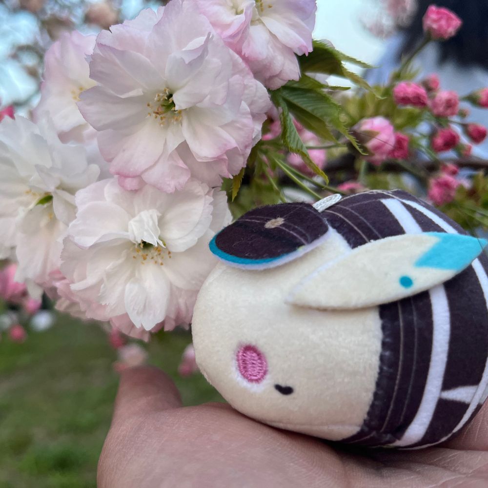 ぴゅおーら