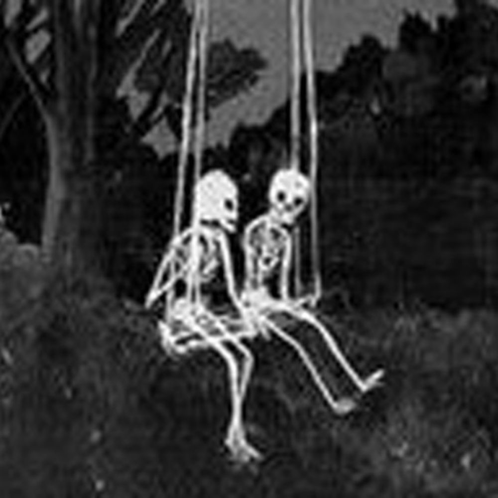Bones