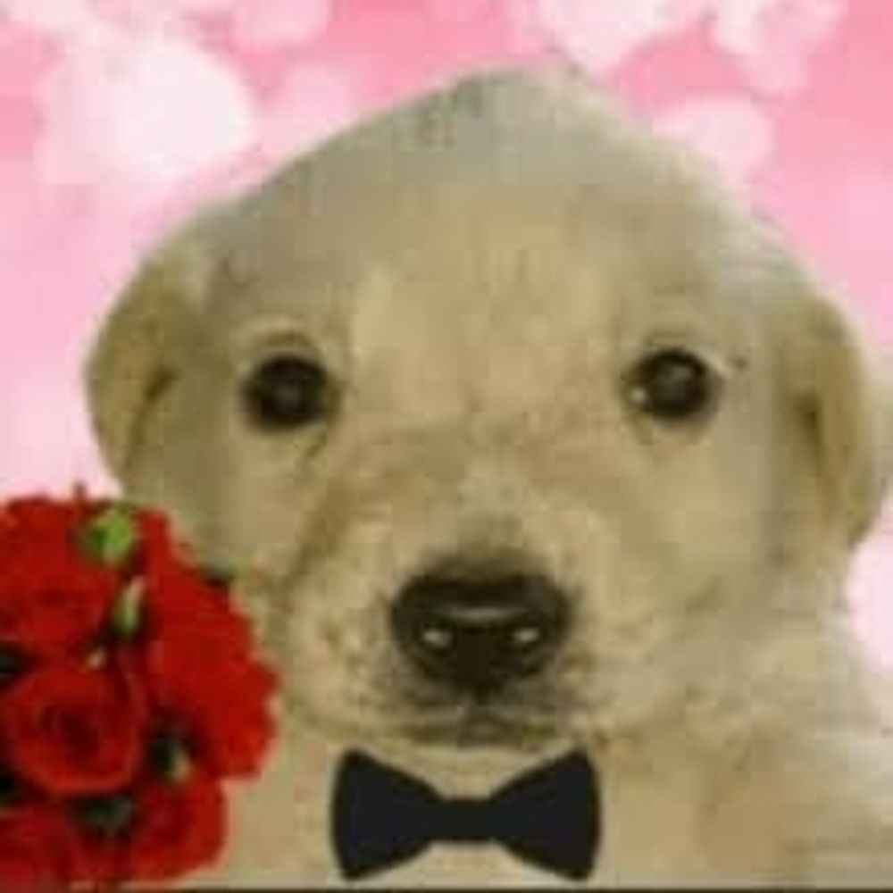 Jake