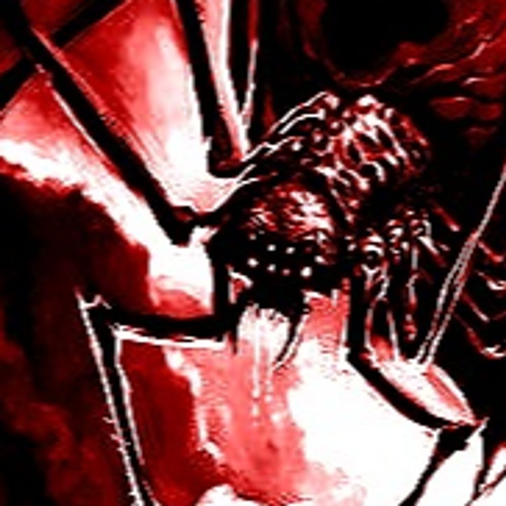 𝐇 ＴＨＥ　ＳＰＩＤＥＲ
