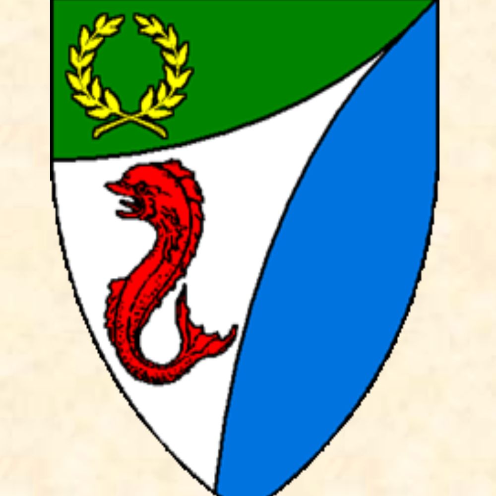 Barony of Tir-y-Don