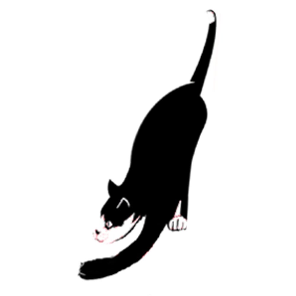 Catbytes Digital Community