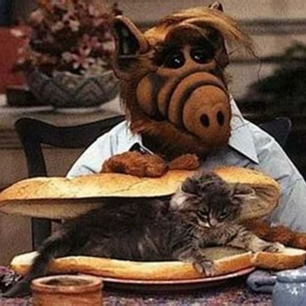 Alf🛸
