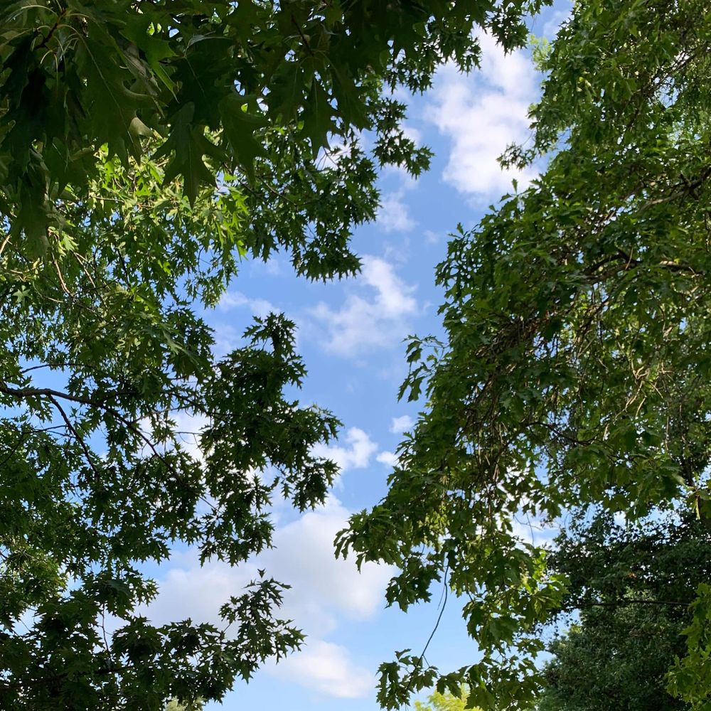 오후