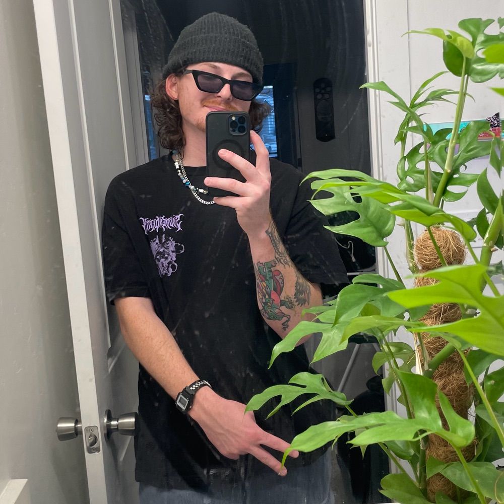 Gibb /ᐠ ̞  ‸  ̞ᐟ\ﾉ