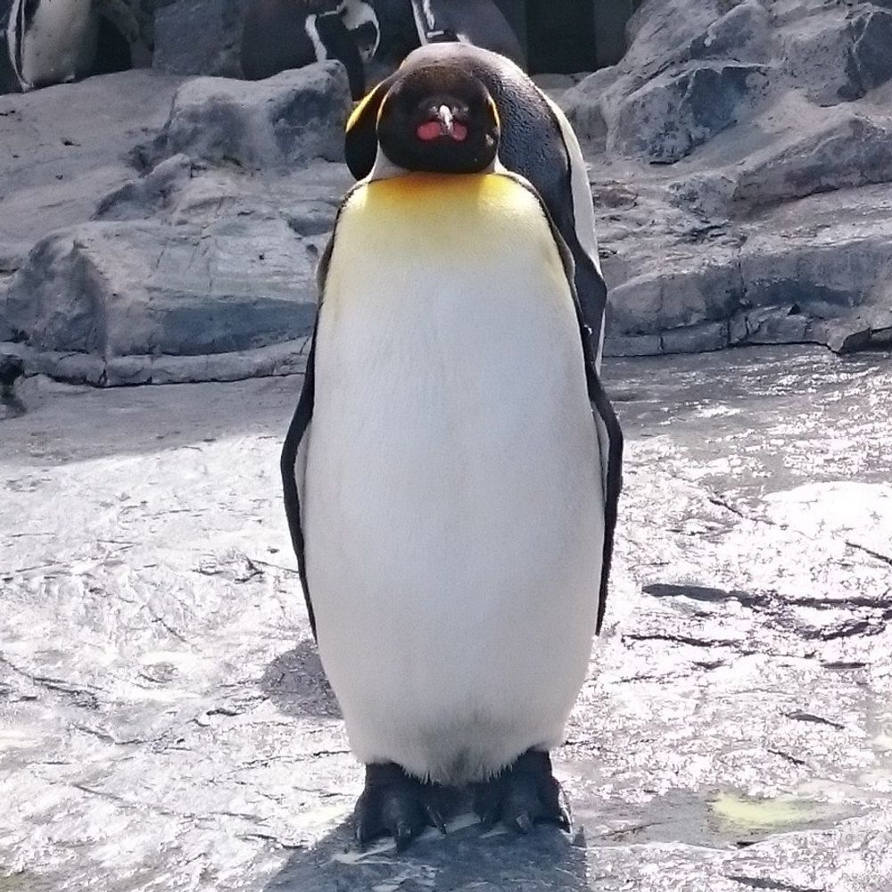 にょもす