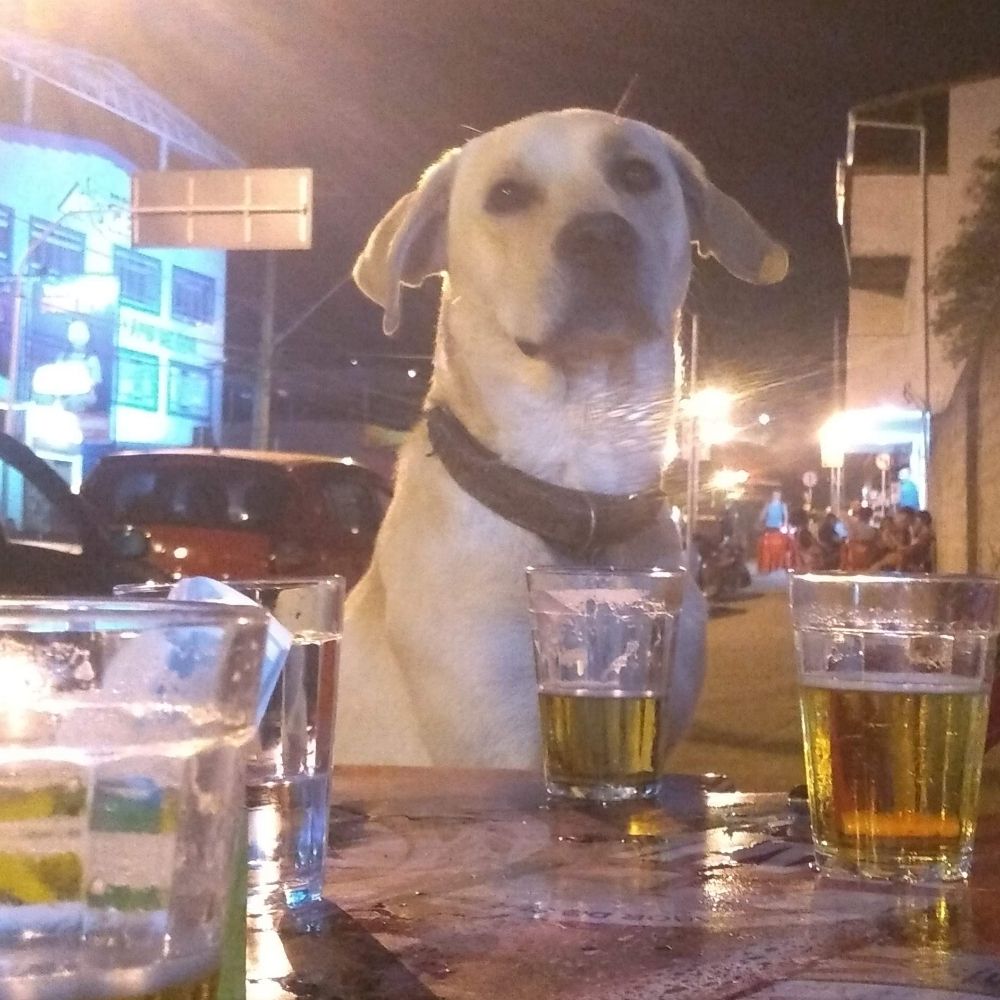 joao