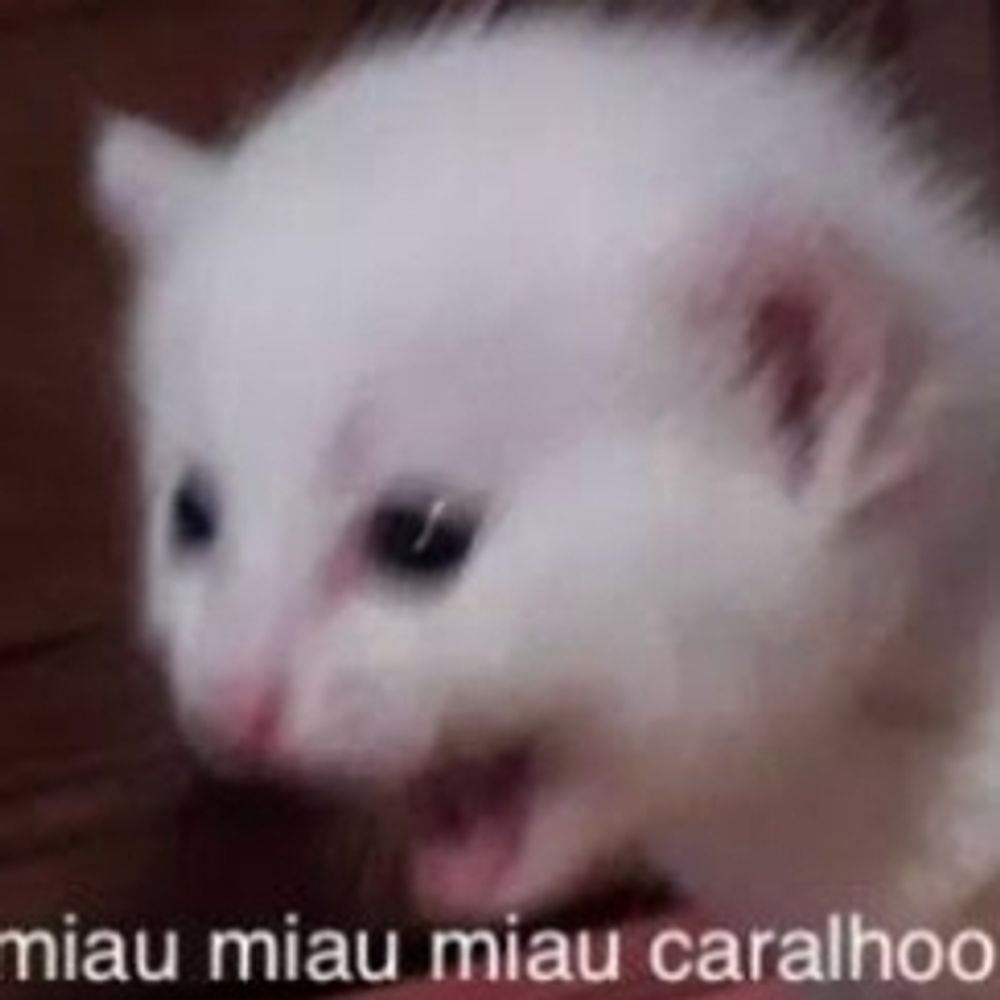 Vitor