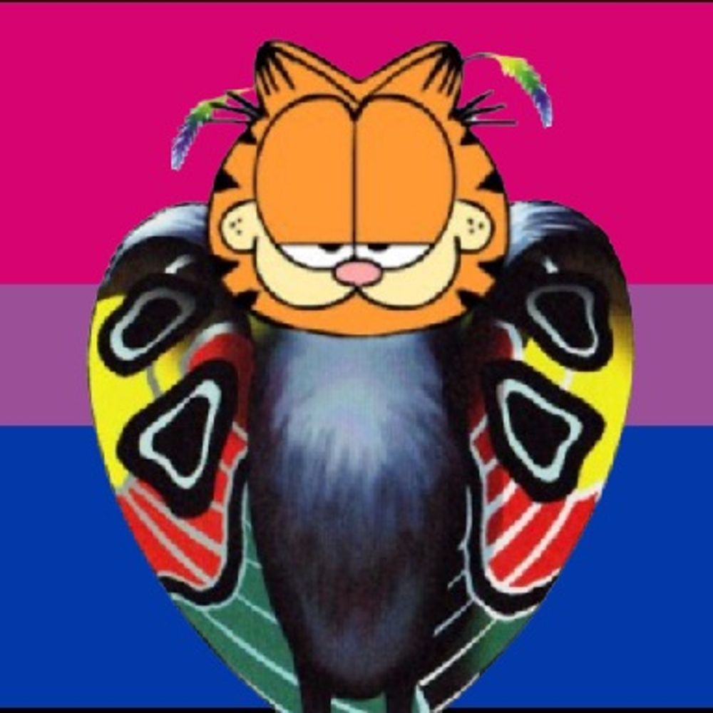 MothField