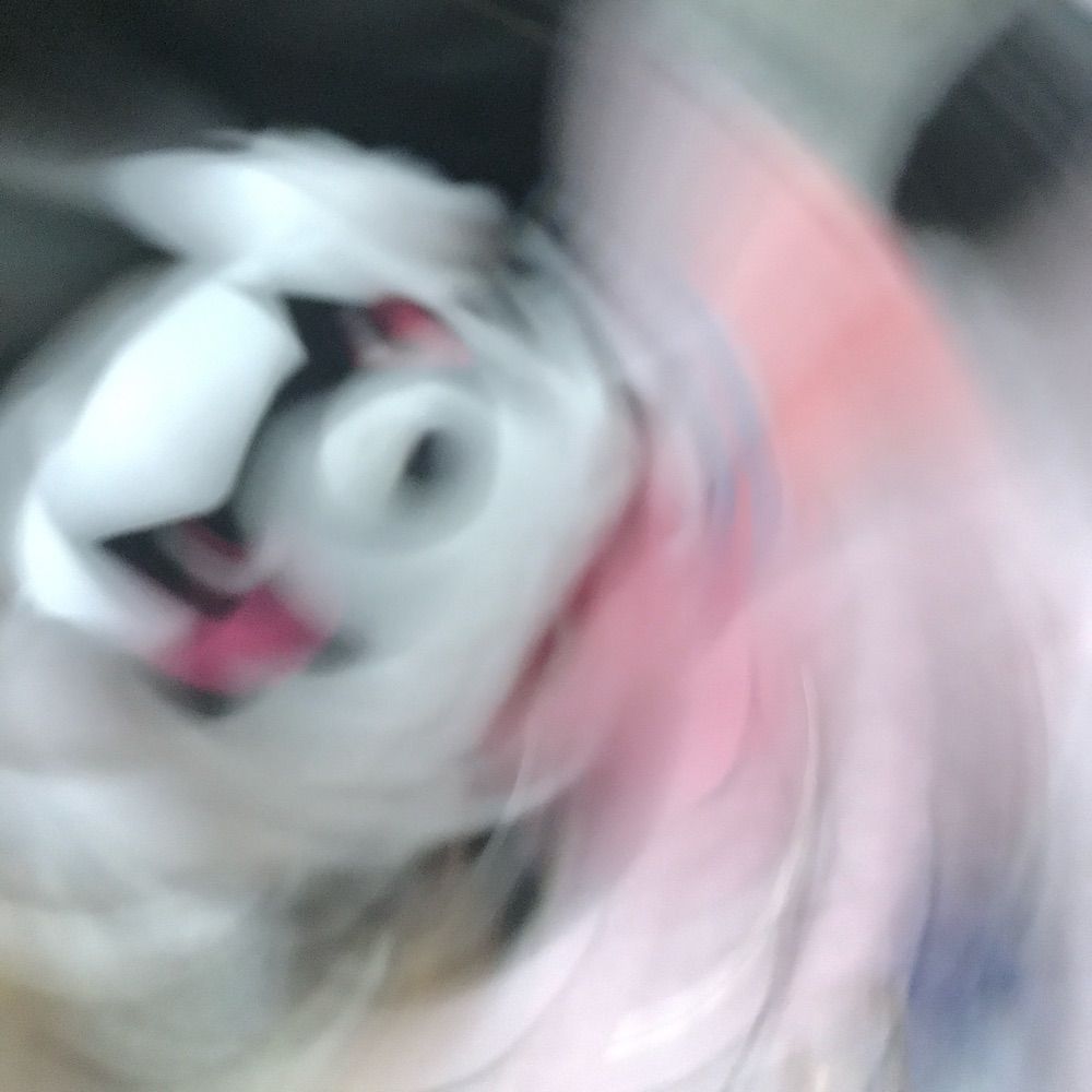 れい