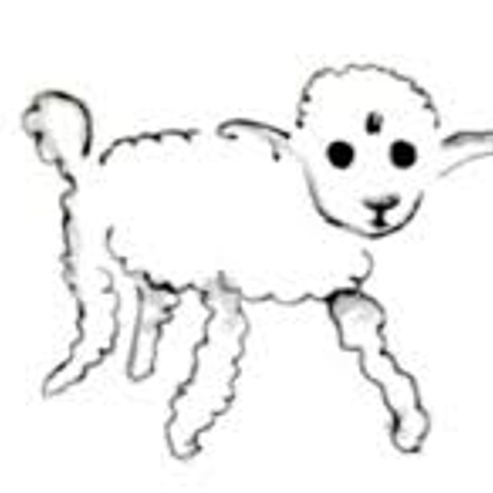 mtk