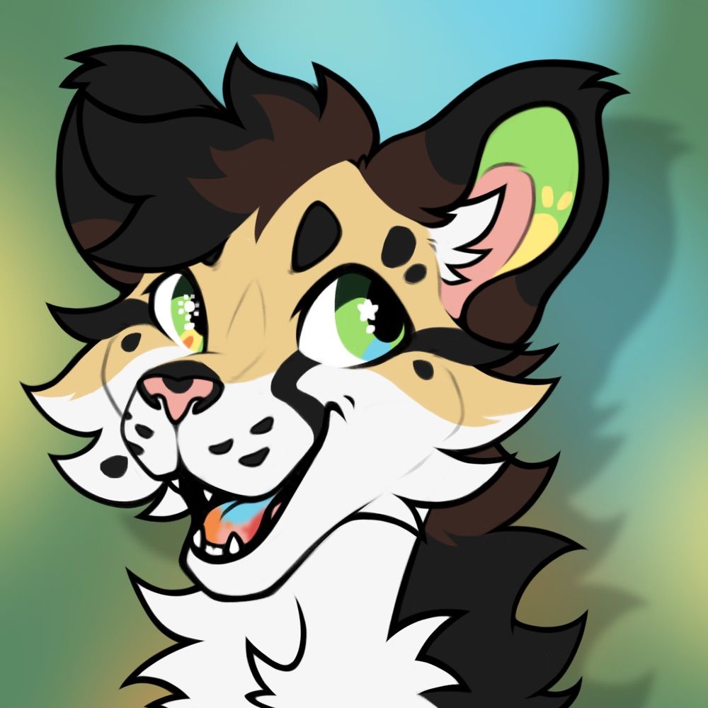 soarin 🐾