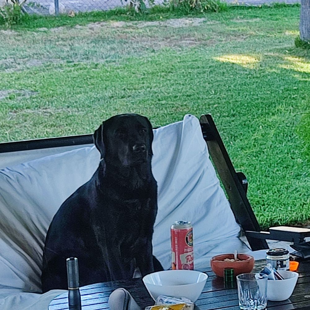 Labradoraki