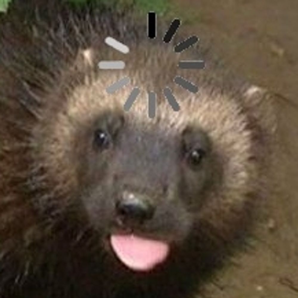 𝕎𝕠𝕝𝕧𝕖𝕣𝕚𝕟𝕖 𝕎𝕖𝕕𝕟𝕖𝕤𝕕𝕒𝕪