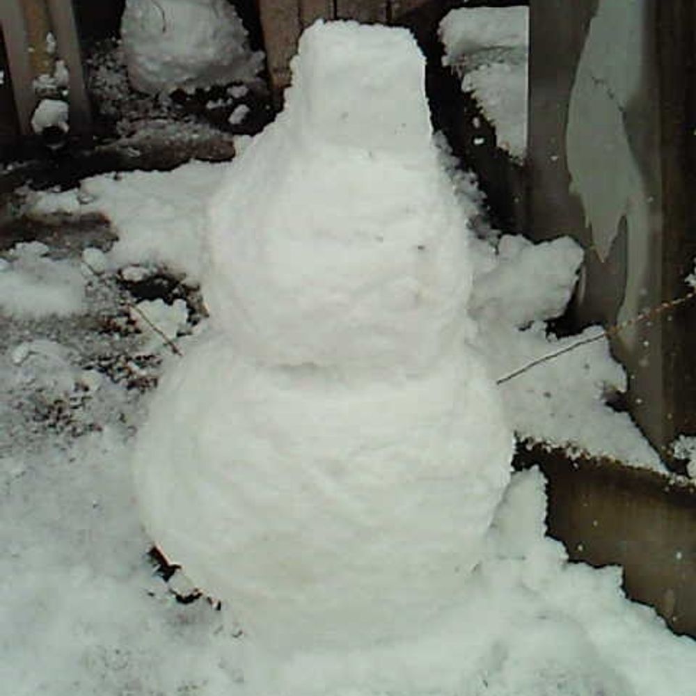 まるたるま
