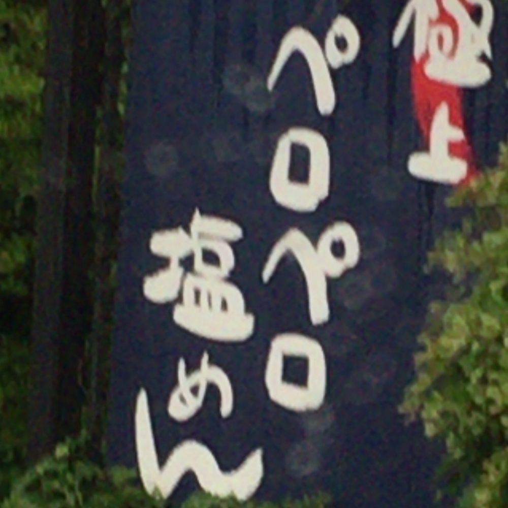 パピ岡