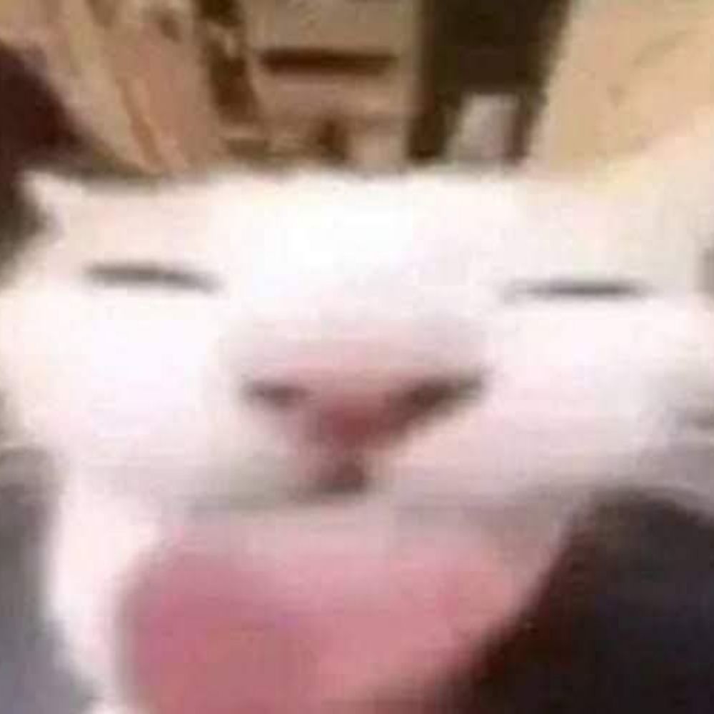 chaba
