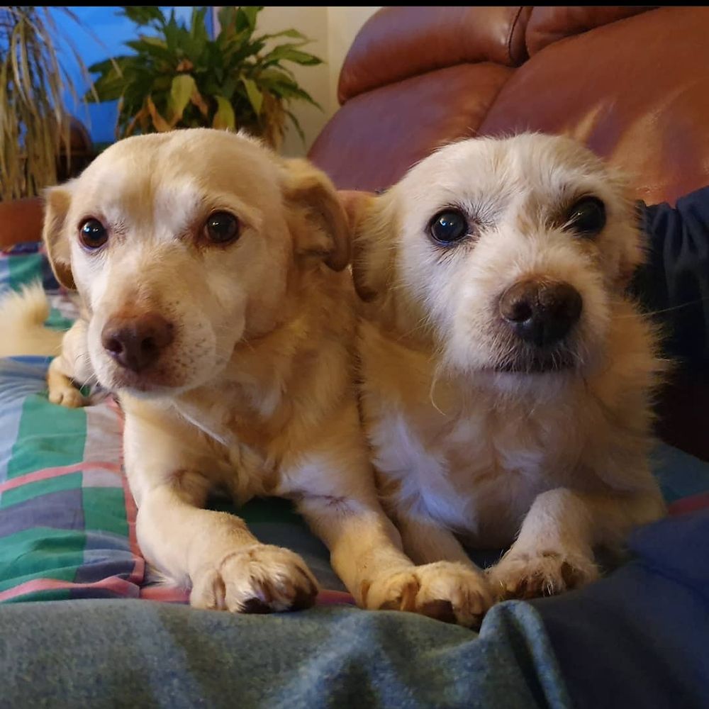 Bas And Bobbie