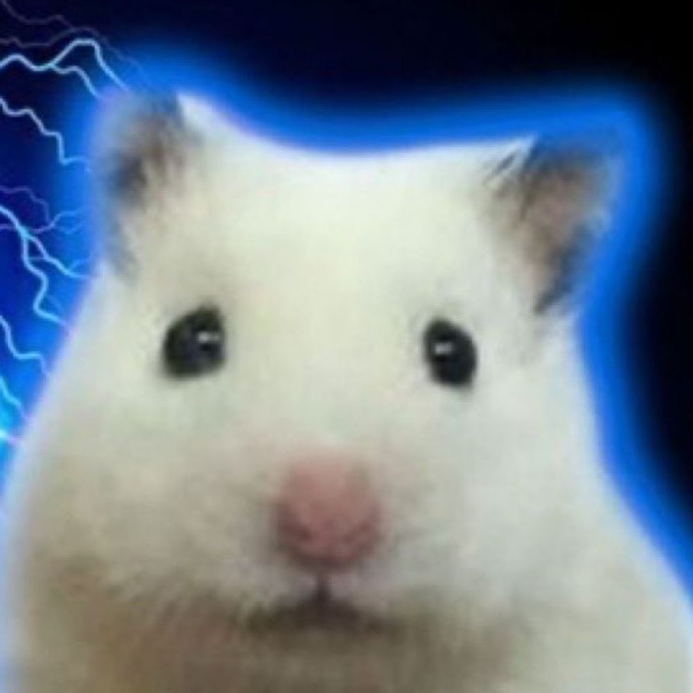 뚀