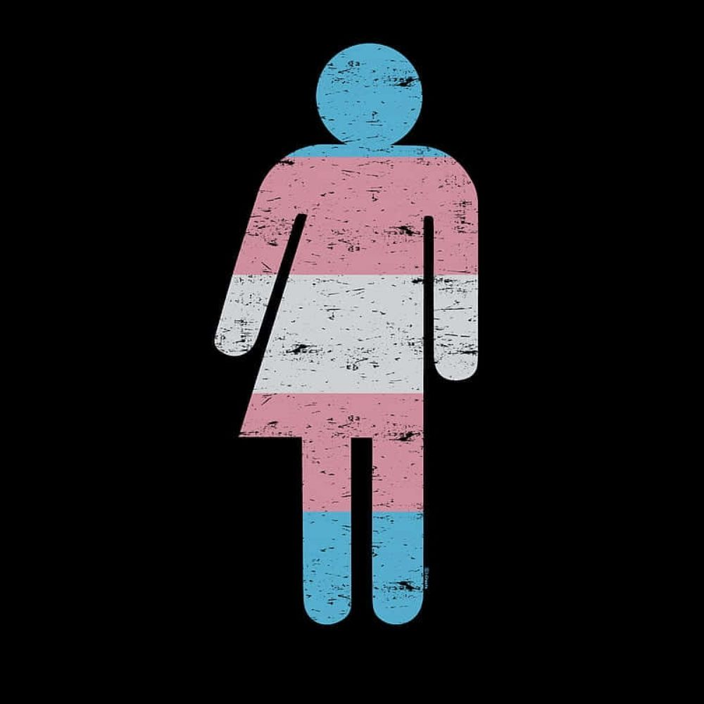James likes Trans girls