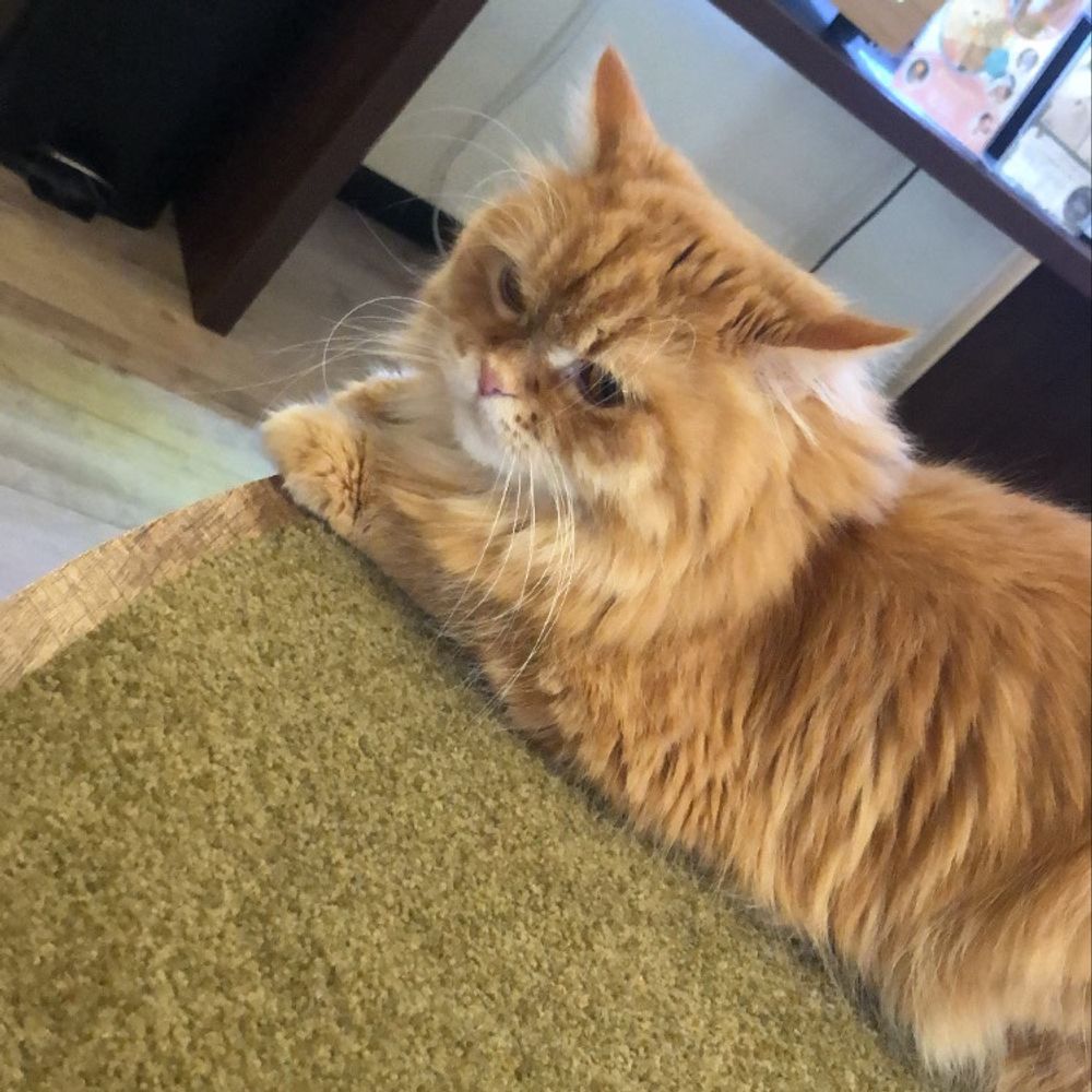 ビタミン