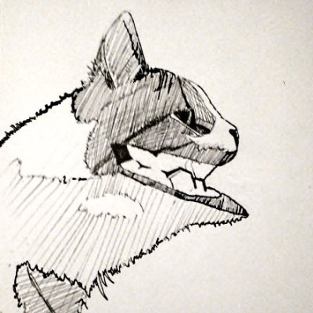CattHlaf