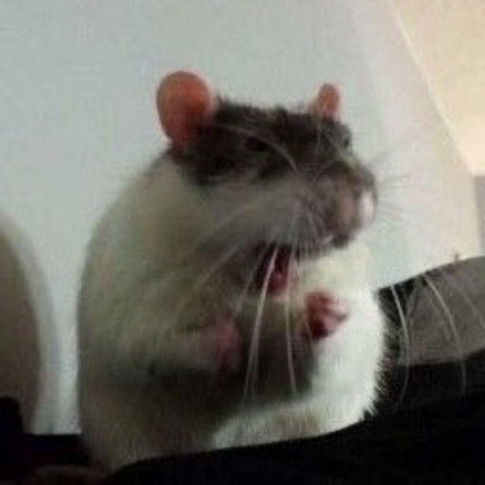 SadChupacabra