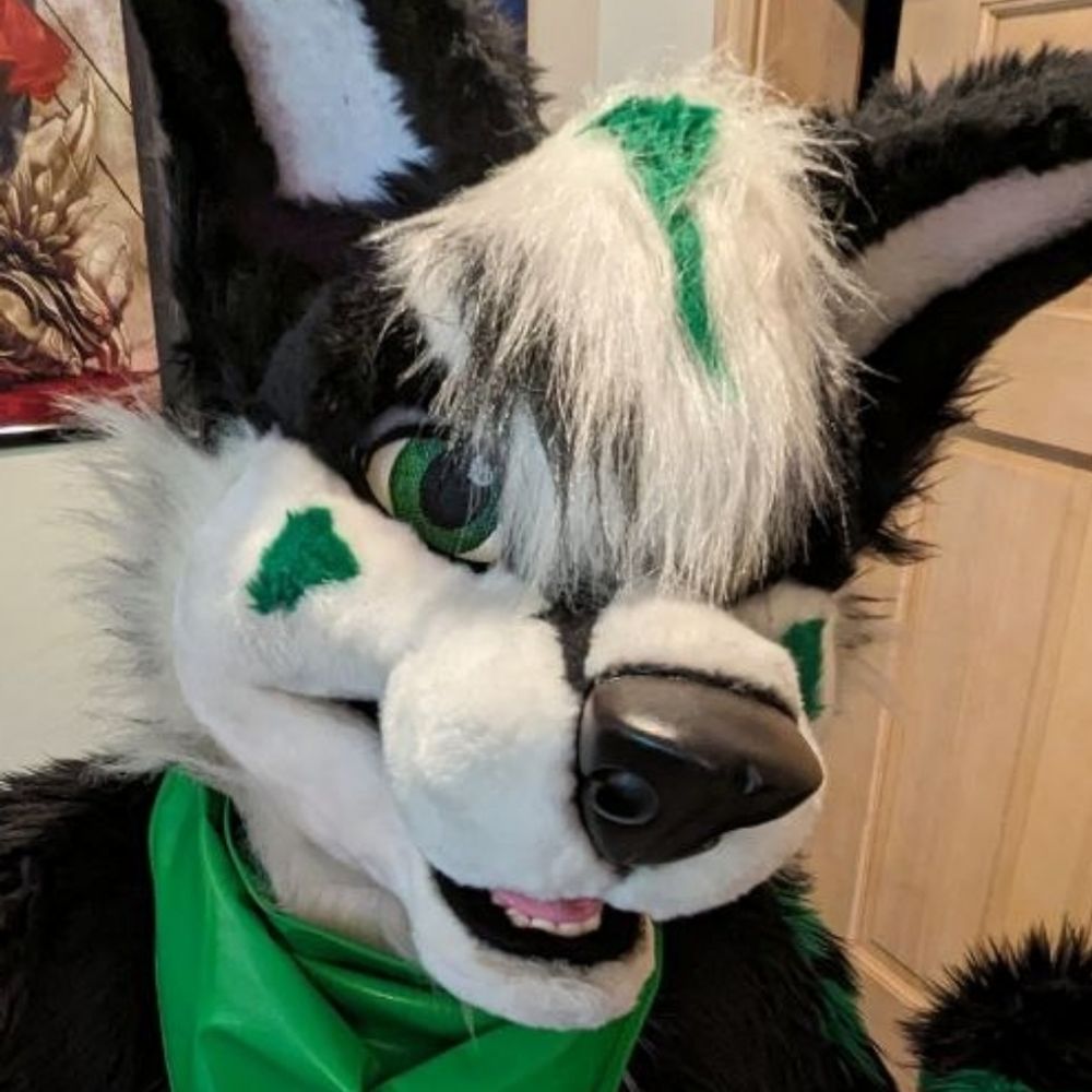 Raiden Husky 💚's avatar