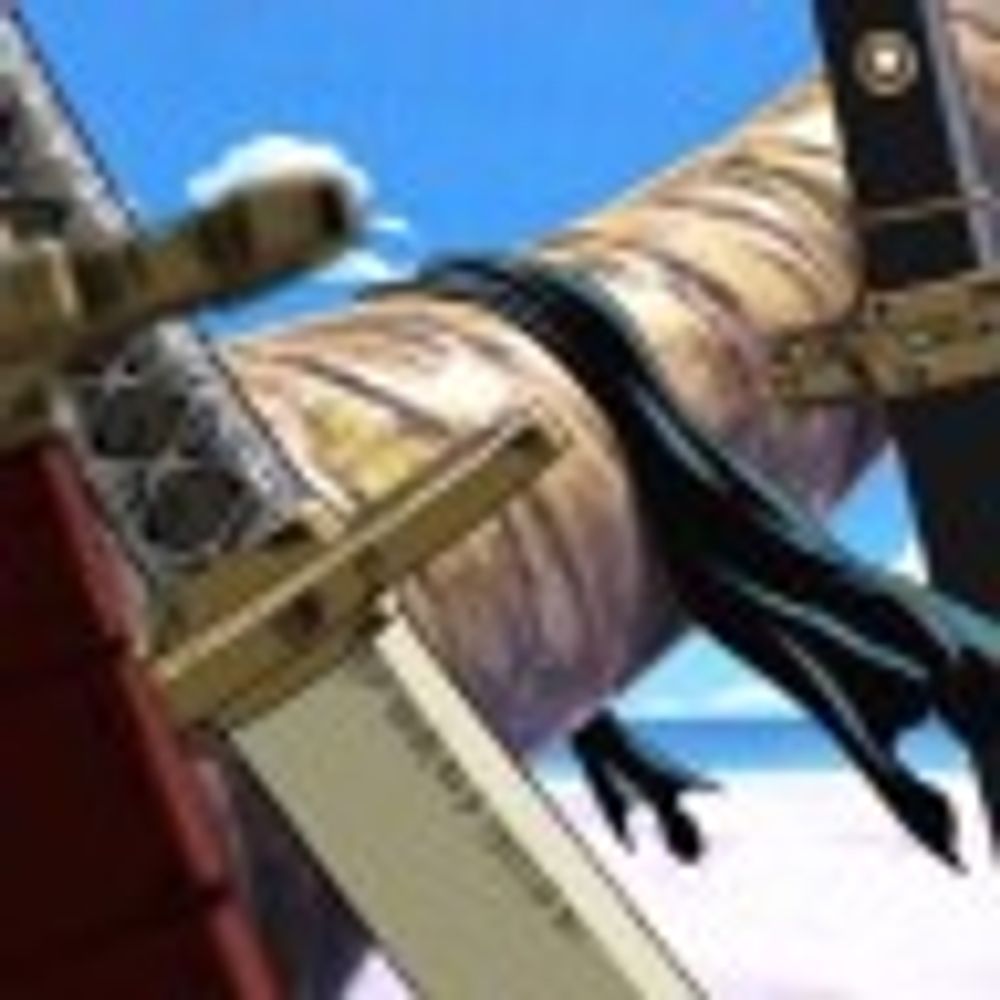Zoro's Sheath